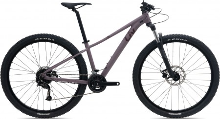 LIV Tempt 29GE 3